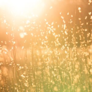 Hervind je kracht met EMDR